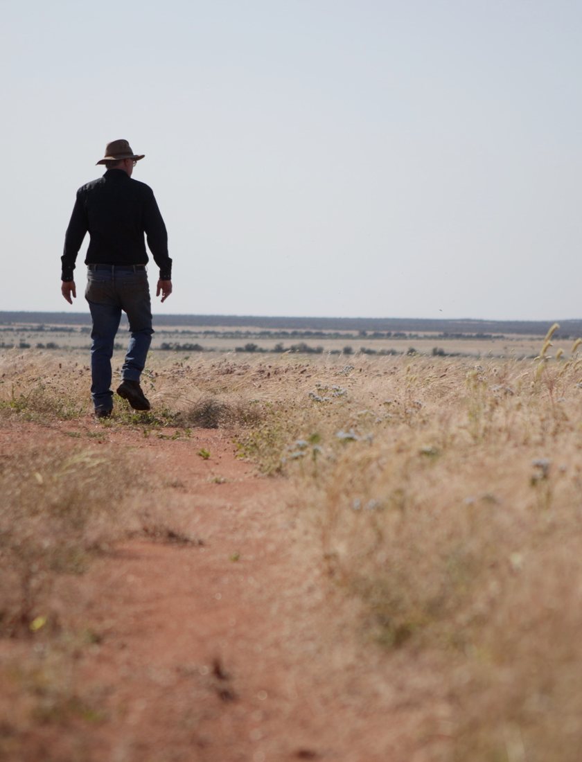 A lone figure crossing the land at dusk